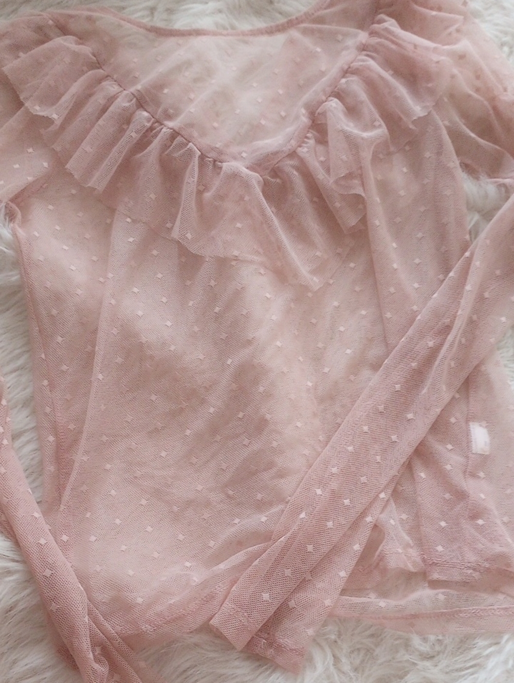 Forever 21 Blush Pink Sheer Ruffle Long Sleeve Top